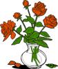 Long Stem Red Roses