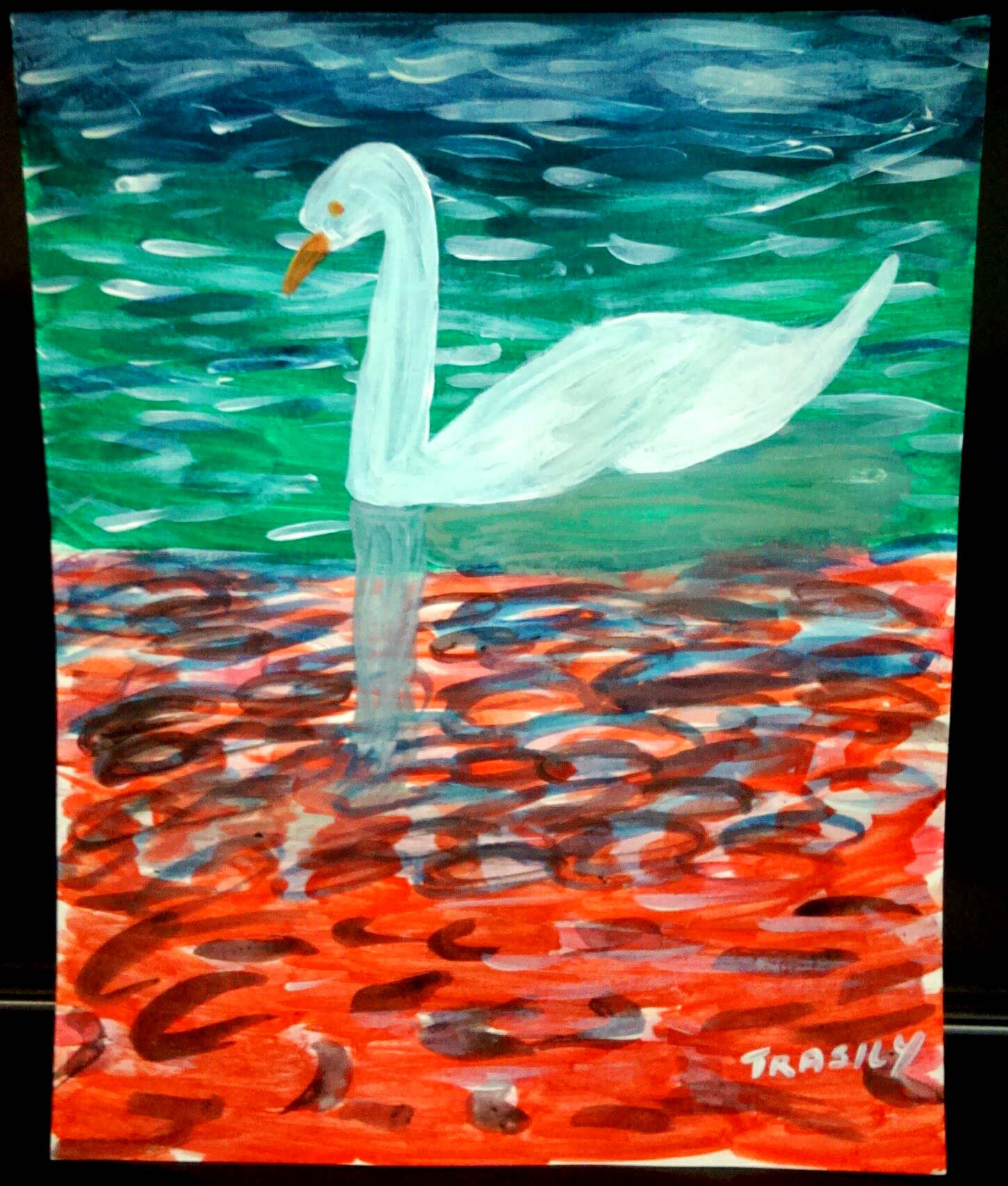 Swan